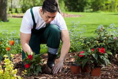 Different types of jet washers for gardens