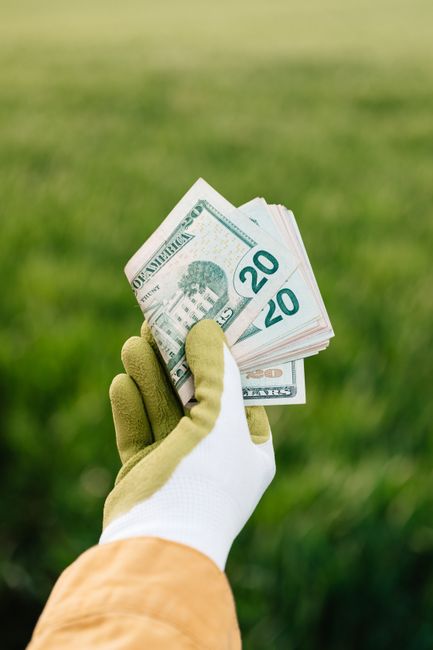 A close-up of a gloved hand holding a fan of US twenty-dollar bills outdoors in a garden or park setting, with a blurred green background of grass and plants. The gloves are beige with a white section